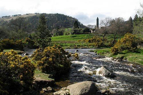 Bed and Breakfast Glen Na Smole Wicklow Esterno foto